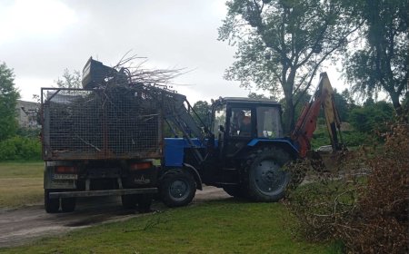 Новини старост з населених пунктів Димерської громади