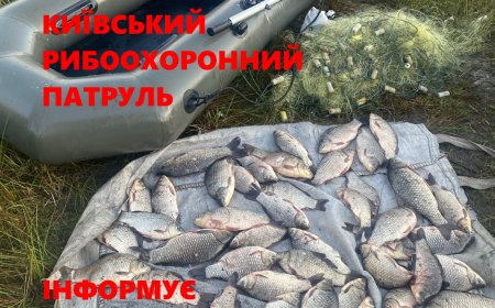 В районі села Демидів на річці Ірпінь браконьє наловив риби на 124 тисячі гривень