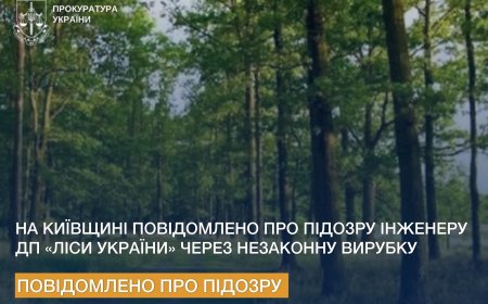 Незаконна рубка сосен у Катюжанці: інженеру лісгоспу оголошено підозру