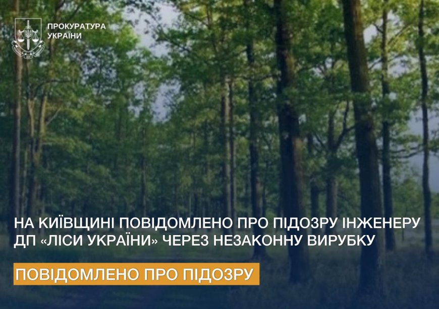 Незаконна рубка сосен у Катюжанці: інженеру лісгоспу оголошено підозру